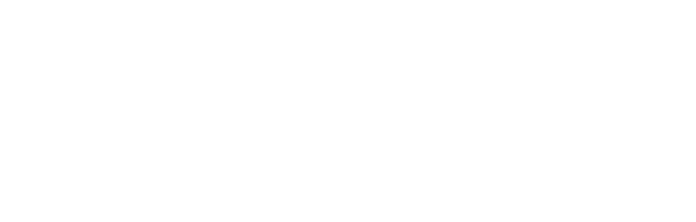 logo Aroldi