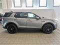 Aroldi, service Mercedes-Benz a Cremona